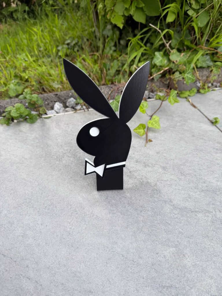 Playboy Topper für Bally